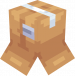 Box Hat