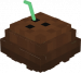 Coconut Hat