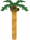Palm Tree