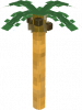 Palm Tree