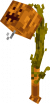 Carved Pumpkin Skin