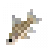 African Carp