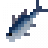 Longtail Tuna