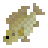 Mango Tilapia