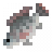 Nile Tilapia