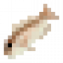 fish_commondentex.png