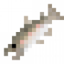 fish_biwasalmon.png