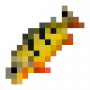 fish_butterflypeacockbass.png