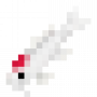 fish_tanchokoi.png