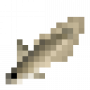 fish_eeltailedcatfish.png