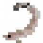fish_spanishling.png
