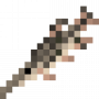 fish_longnosegar.png