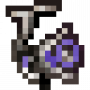 reel_rayrunnerii.png