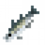 fish_atlanticmackerel.png