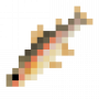fish_cutthroattrout.png