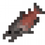 fish_kingsalmon.png