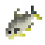 fish_floridapompano.png