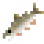 fish_splake.png