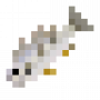fish_atlanticcroaker.png