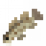 fish_spangledperch.png