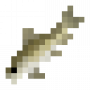 fish_whitesucker.png