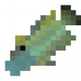 fish_humpheadwrasse.png