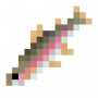 fish_rainbowtrout.png