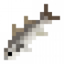 fish_flatheadgreymullet.png