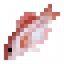 fish_commonpandora.png