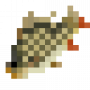 fish_commoncarp.png