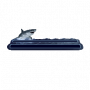 shark_graphic.png