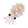 fish_bigfinreefsquid.png