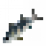 fish_atlanticbonito.png