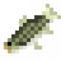 fish_grasscarp.png