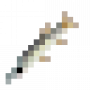 fish_chachorro.png