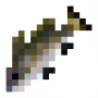 fish_brownmeagre.png