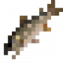fish_laketrout.png