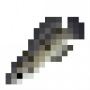 fish_troutcod.png