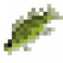 fish_sauger.png