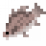 fish_freshwaterdrum.png