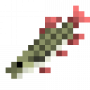 fish_redfinpickerel.png
