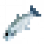 fish_bluefish.png