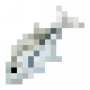 fish_gianttrevally.png