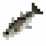 fish_haddock.png