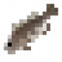 fish_whitegrouper.png