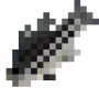 fish_stripedbass.png