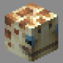 seaturtle.png