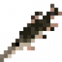 fish_spottedgar.png