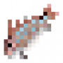 fish_bluespottedbream.png