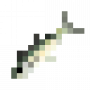 fish_spanishmackerel.png